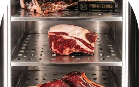 Carnes maduradas. Restaurante Mar y Montaña - Arrocería & Brasería en Zamora