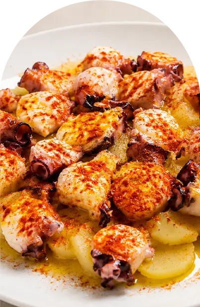 pulpo mar y montaña